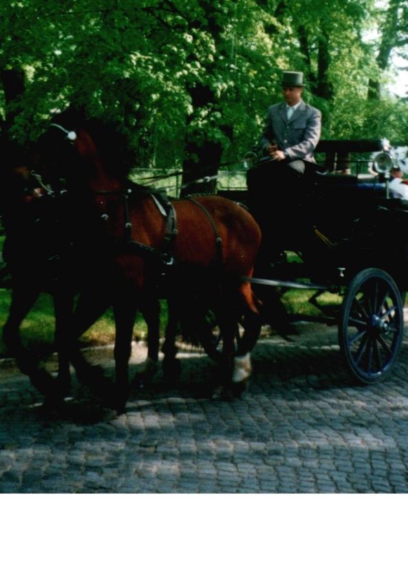 Pension Am Rheinsberger Schlosspark Buitenkant foto